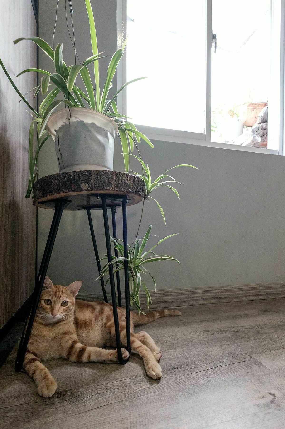 Saigon Inner Home 호치민 외부 사진